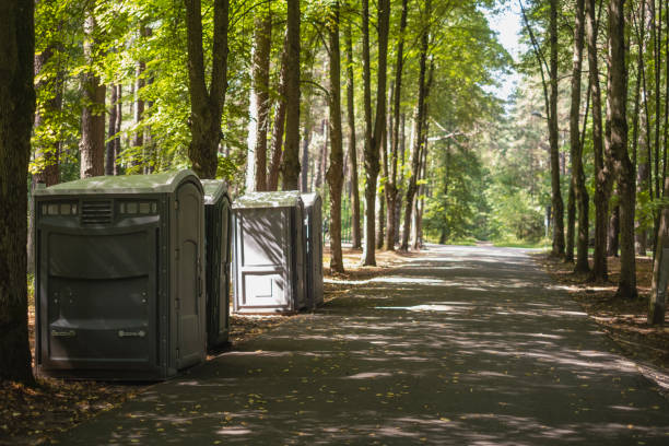 Best Porta potty services near me  in New Athens, IL